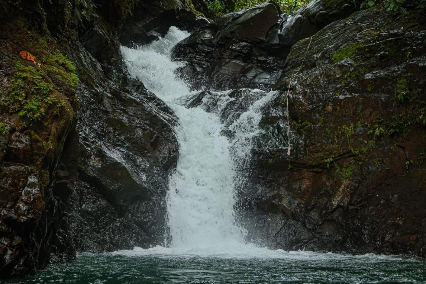 Santa Juana Lodge & Nature Reserve Quepos Ngoại thất bức ảnh