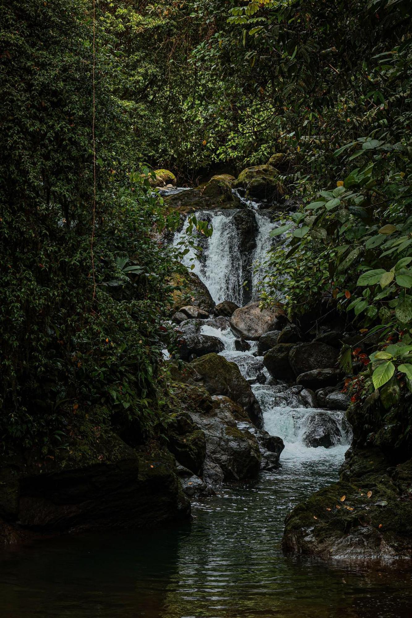 Santa Juana Lodge & Nature Reserve Quepos Ngoại thất bức ảnh