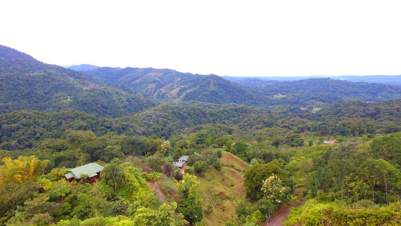 Santa Juana Lodge & Nature Reserve Quepos Ngoại thất bức ảnh