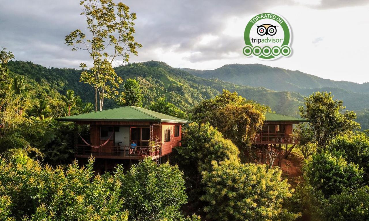 Santa Juana Lodge & Nature Reserve Quepos Ngoại thất bức ảnh